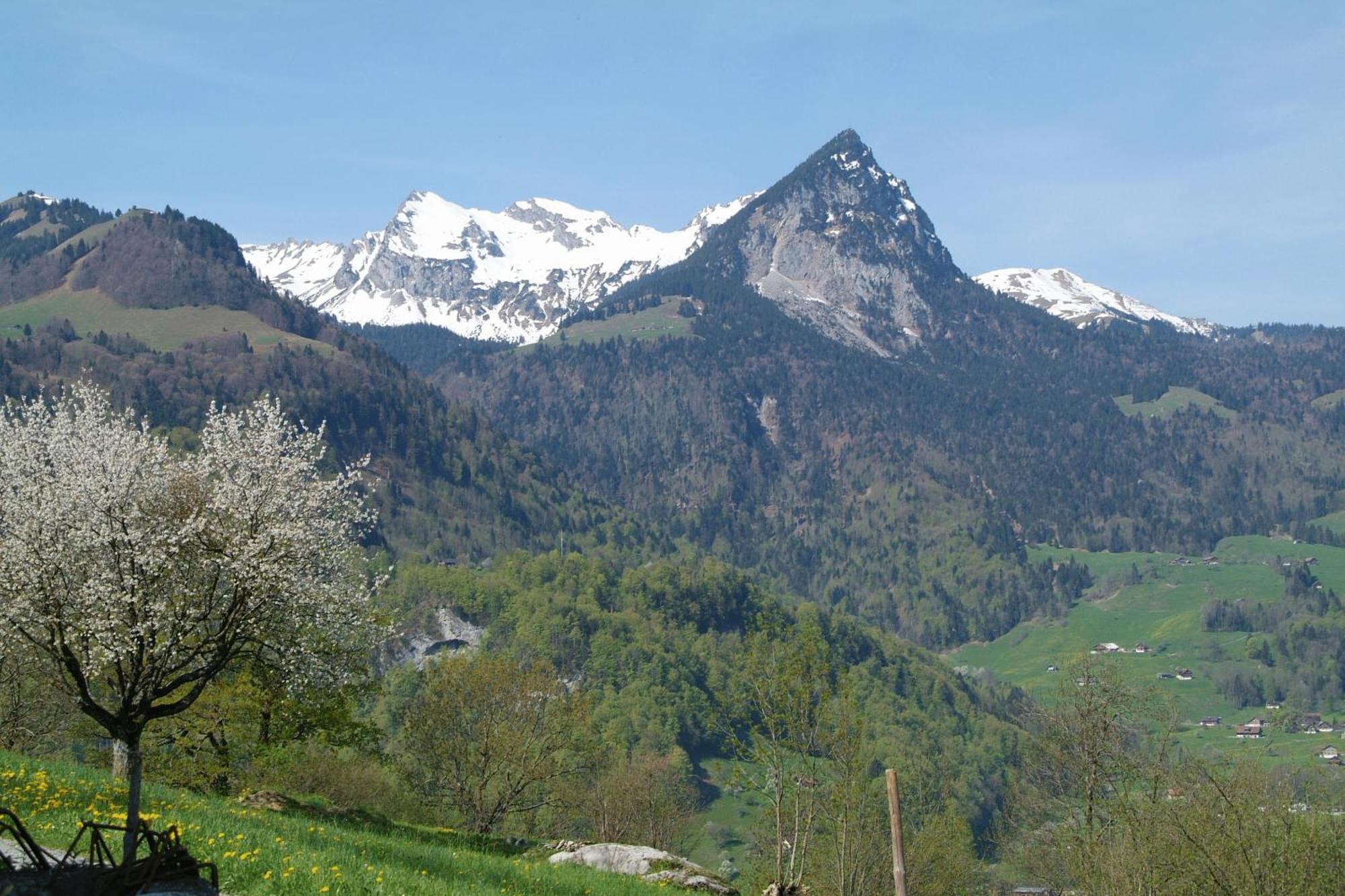 Landgasthof Grossteil Giswil Zewnętrze zdjęcie